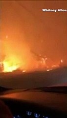 Pai canta para filha incêndio Califórnia