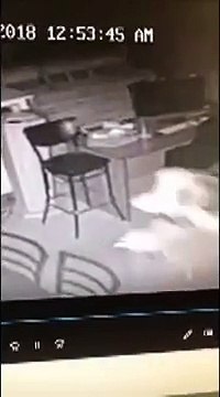 Deixa bilhete a pedir desculpa e a pedir orações após assaltar igreja