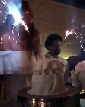 Sofia Vergara mostra festejos de aniversário