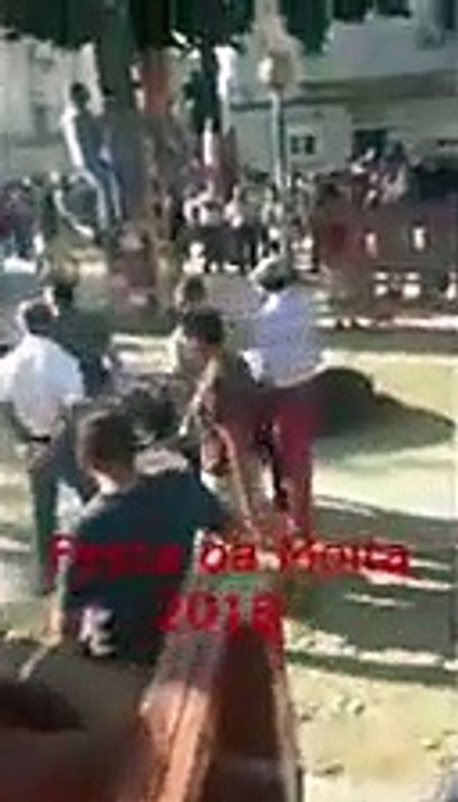 Largada de touros na Moita