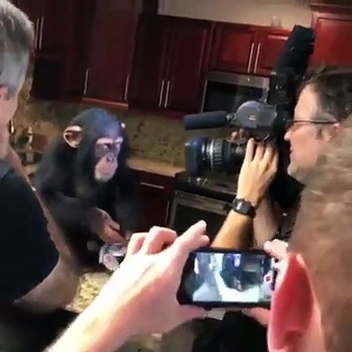 Macaco microfone
