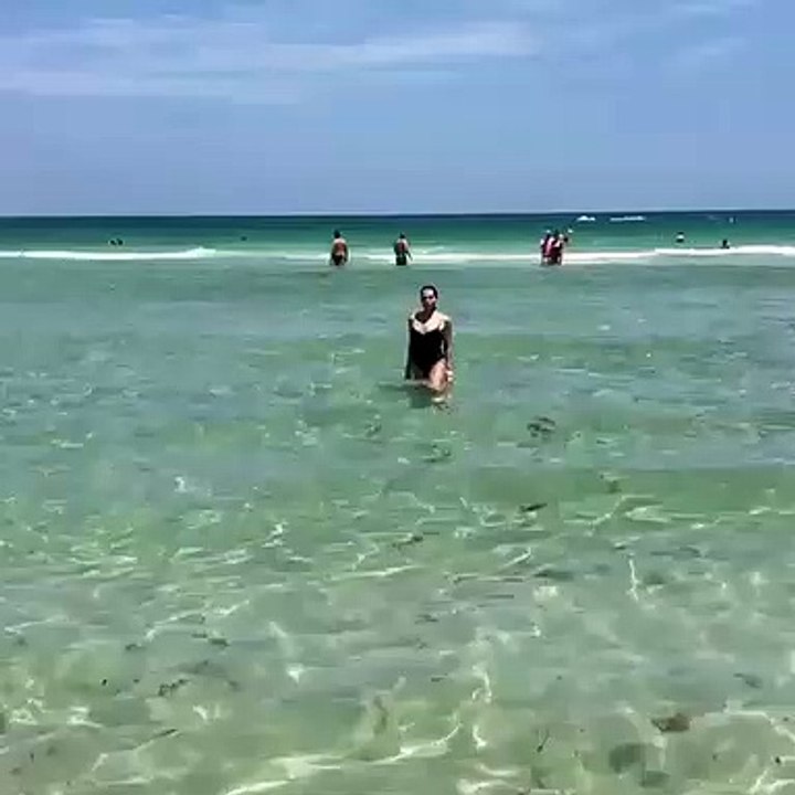 José Castelo Branco ‘sensualiza’ em fato de banho na praia