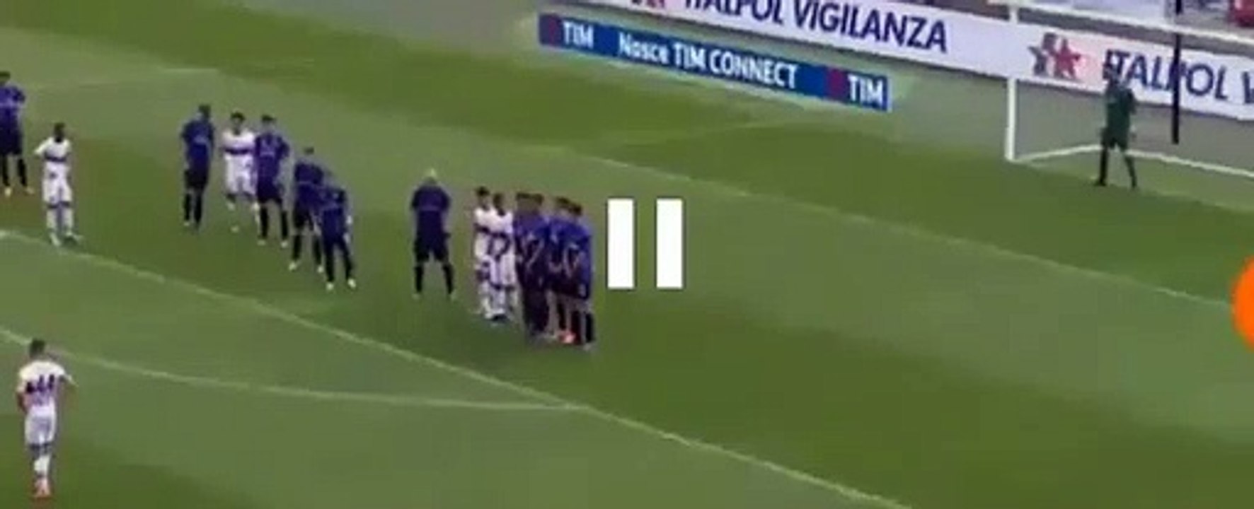 Miguel Veloso