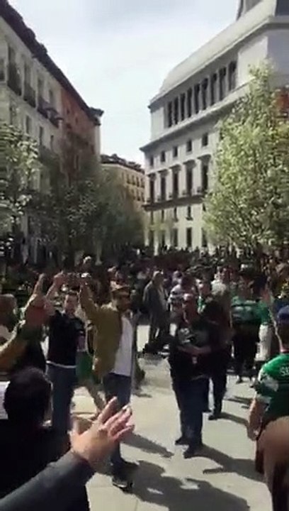 Adeptos do Sporting fazem festa em Madrid