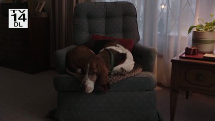 Joe Pera Talks with You Season 3 Trailer