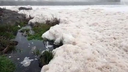 Manto de espuma "dantesco" e "assustador" cobre rio Tejo em Abrantes