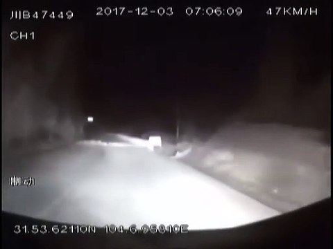 Condutor de autocarro salva a vida a 15 pessoas por travar a tempo