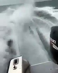 Tubarão arrastado em barco