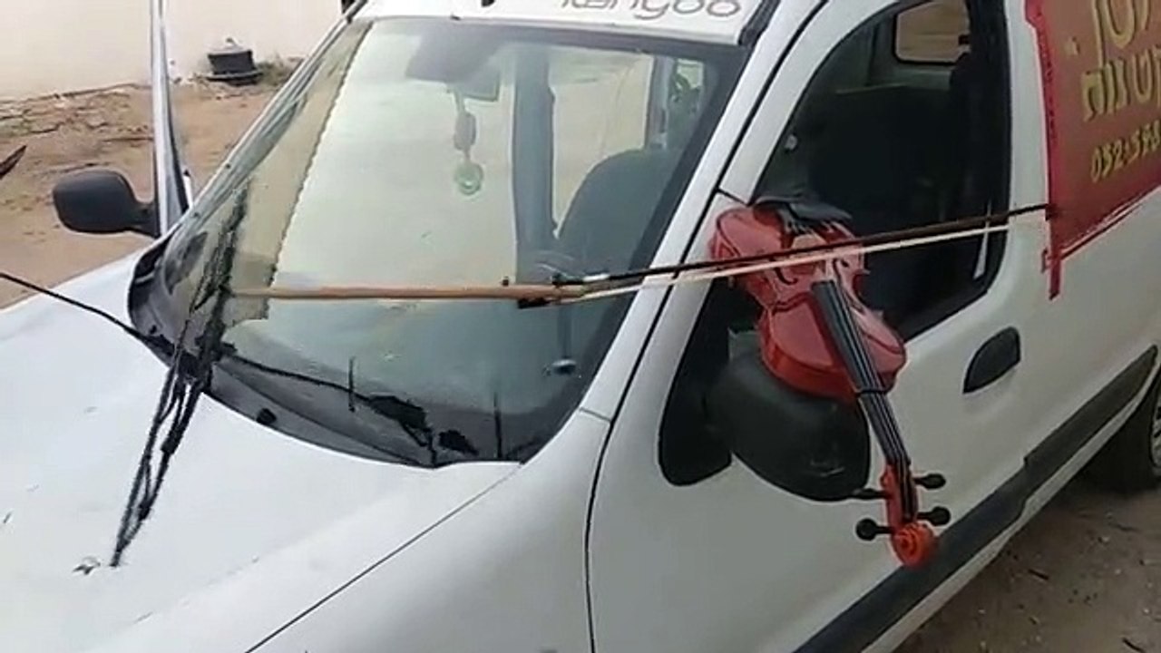 Carro toca violino