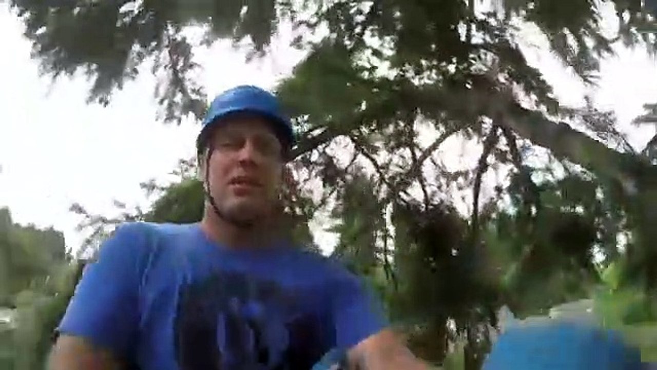 Canopy Cat Rescue