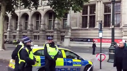 Vídeo mostra detenção do homem que atropelou diversas pessoas em Londres