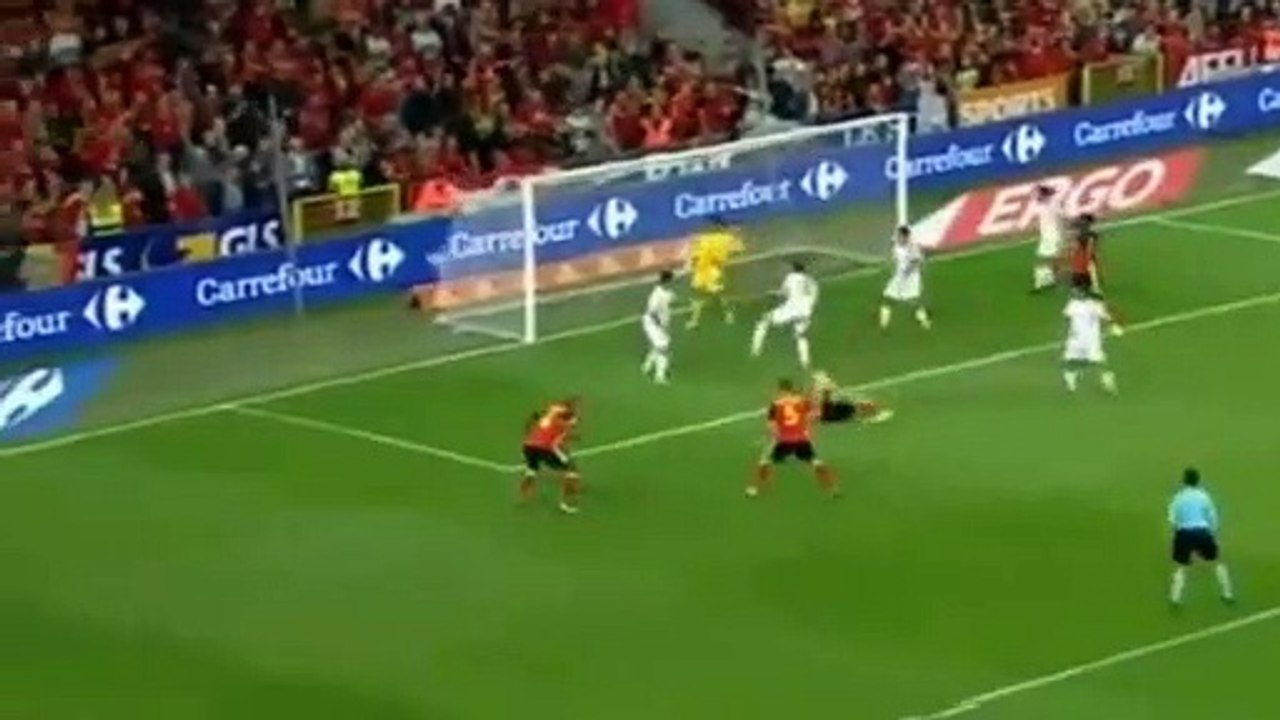 Witsel marca