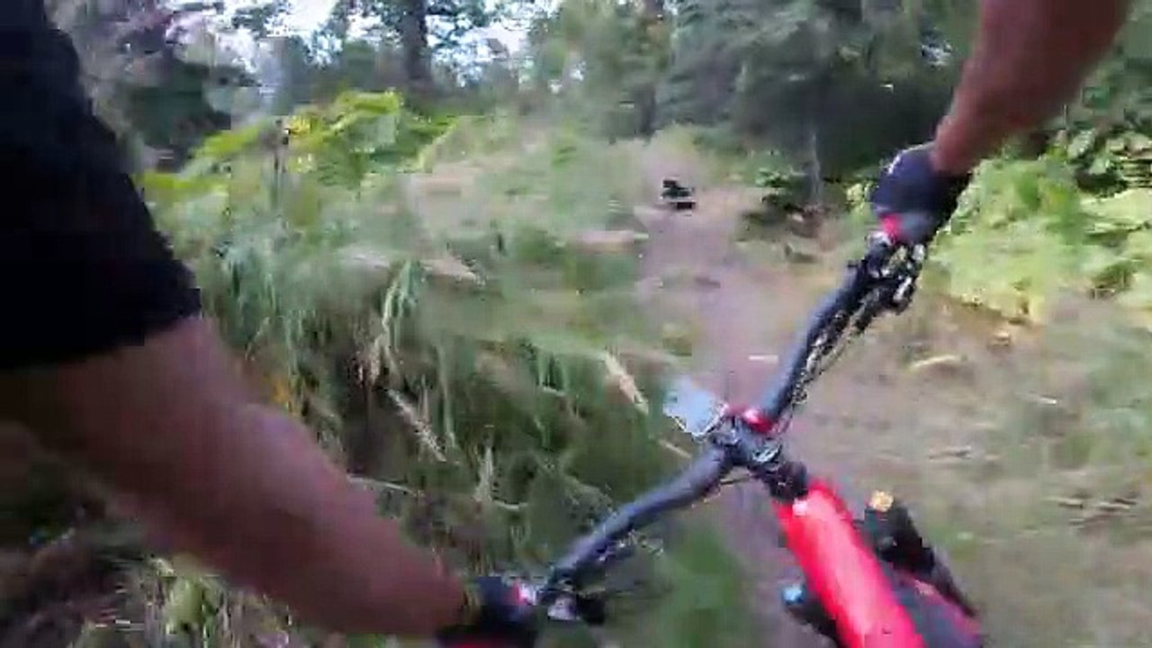 Ciclista apanha susto da vida ao dar de caras com urso