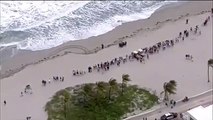 Quando os banhistas fogem da praia porque chega... um crocodilo