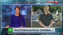 Jornalista russo agredido em direto