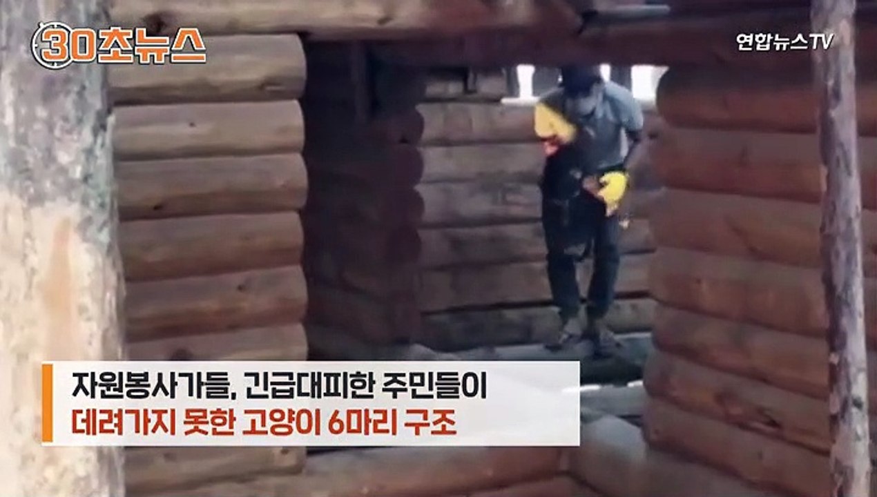 [30초뉴스] 산불에 급히 몸 피하느라…남겨진 동물들 안타까운 희생