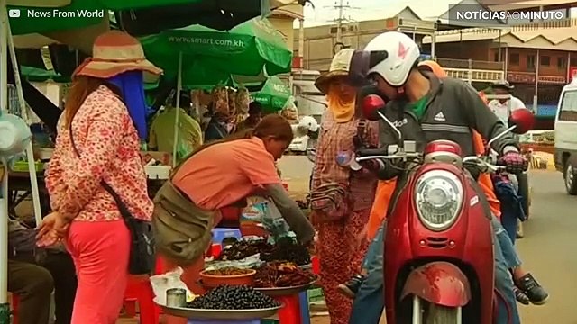 É época das tarântulas fritas no Camboja