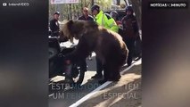 Já viu alguma vez um urso motoqueiro?
