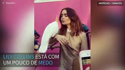 Lily Collins partilha momento adorável com pássaro