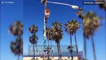 Rapariga faz elevações no topo de um poste de luz