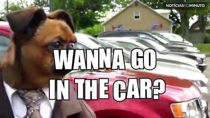 O melhor vendedor de carros de sempre!