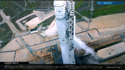 SpaceX voltou a aterrar foguetão usado… e vai ter de admirar o vídeo