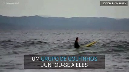 Golfinhos acompanham surfistas
