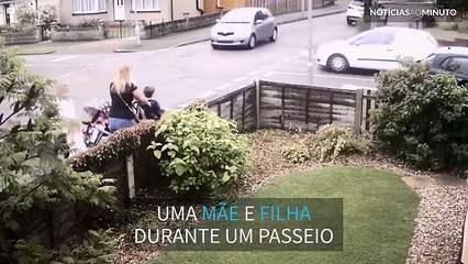 Carro quase esmaga criança e mãe!