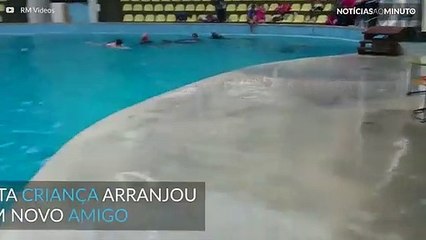 Golfinho e criança os melhores amigos