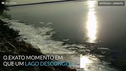 Veja o que acontece quando um lago descongela