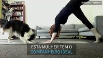 Este cão é mestre de yoga