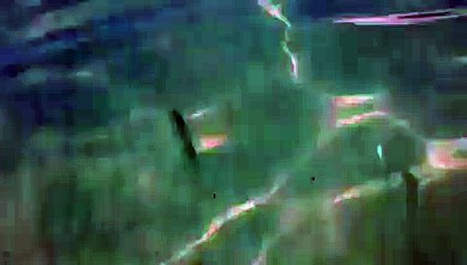 Lourenço Ortigão debaixo de água? Sim, é possível