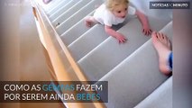 Se tem filhos, por favor não experimente isto