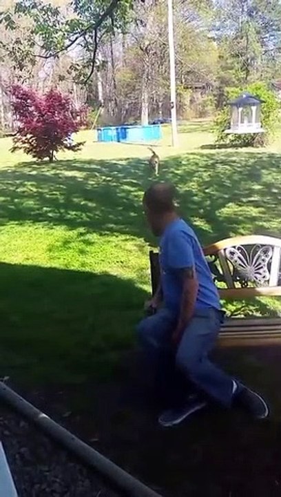 Cão só reconhece dono pelo cheiro 3