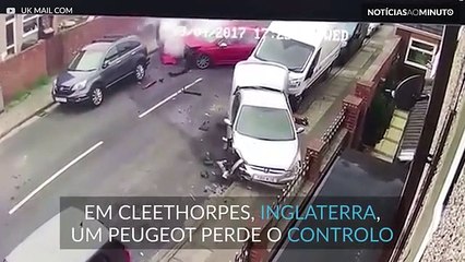 Embateram em quatro carros e fugiram com o cão nas mãos
