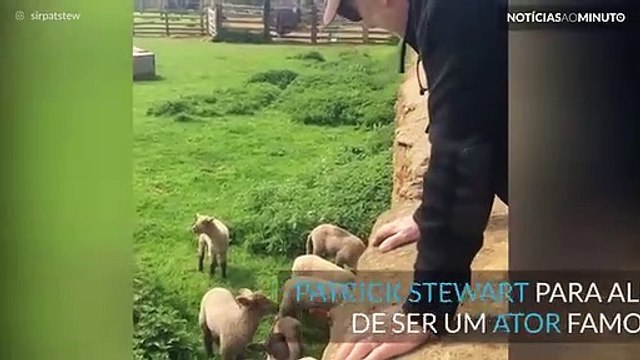 Ator Patrick Stewart sabe comunicar com ovelhas?