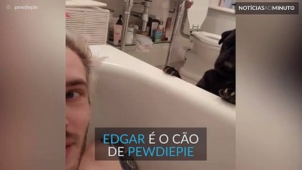 PewDiePie teve companhia especial no banho