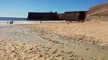 Descargas de cimento em praia de Oeiras geram polémica com Carreiras