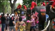 Elefantes molham pessoas com água na Tailândia antes do novo ano