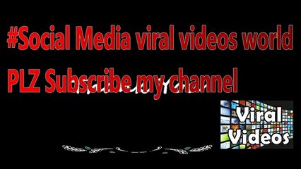 Macaco bebé chora agarrado a mãe que morreu atropelada