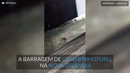 Parque aquático fora do comum