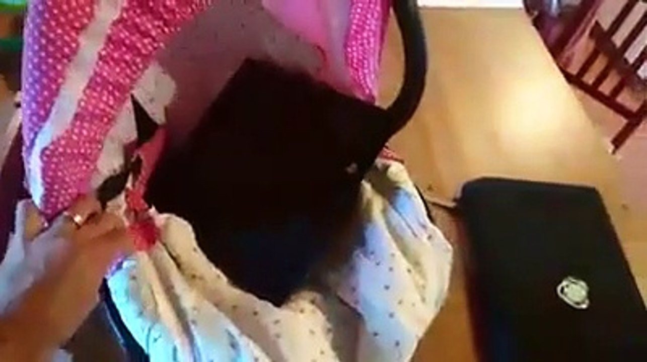 Depois do armário, Raminhos 'encontra' agora filha numa gaveta