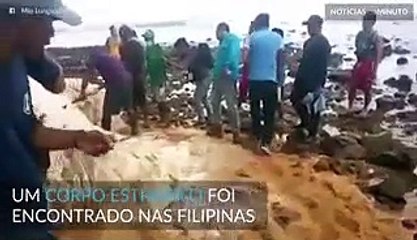 Criatura estranha encontrada em praia nas Filipinas
