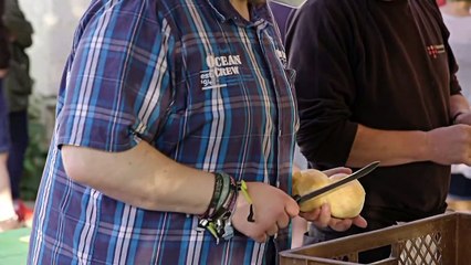 Вакцинация в Европе: кнут и пряник