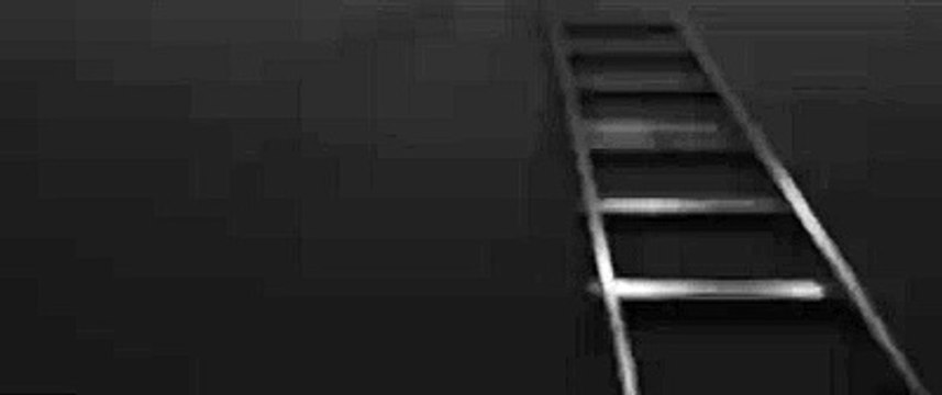 Liga Portuguesa Contra a Sida - Vasco Palmeirim