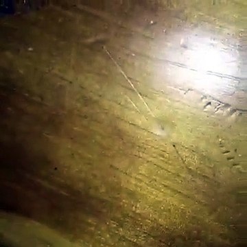 Eis a prova de amor da mulher de Raminhos