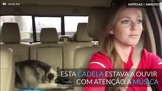 Freddie Mercury em versão animal! Cadela canta Queen com a sua dona