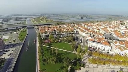 Tesla com fábrica em Portugal? Este vídeo quer convencer Elon Musk