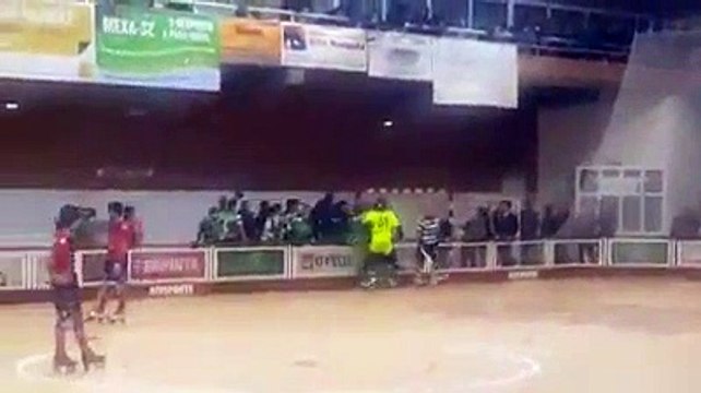 O momento em que adeptos do Sporting invadiram zona técnica