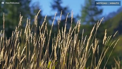 Desportista encesta bola de basquetebol a 180m de altura